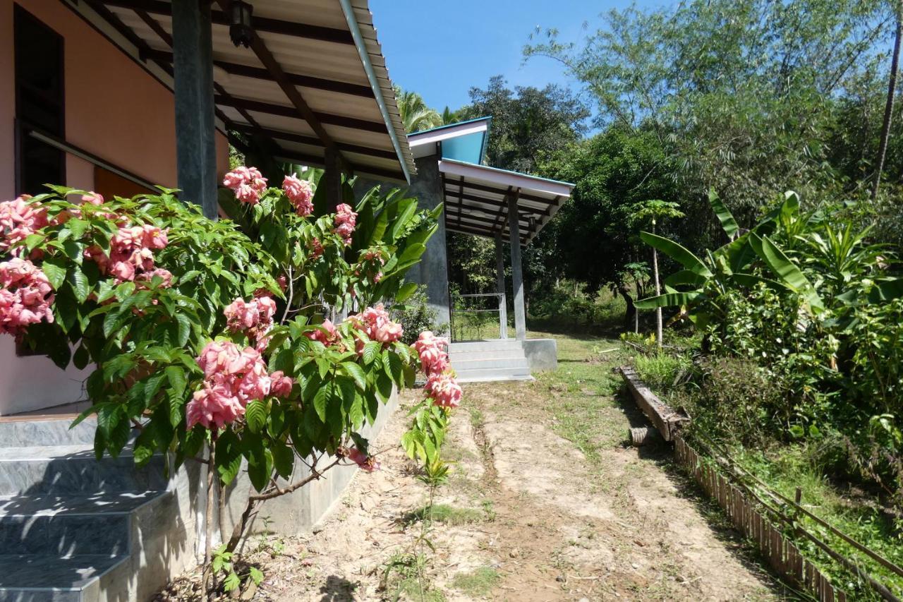 Chom Suan Homestay Ko Kut Exterior photo