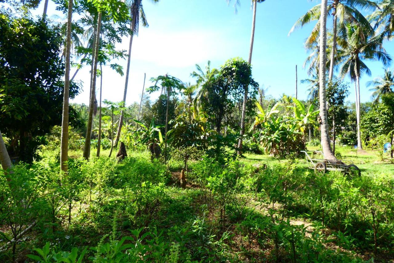 Chom Suan Homestay Ko Kut Exterior photo